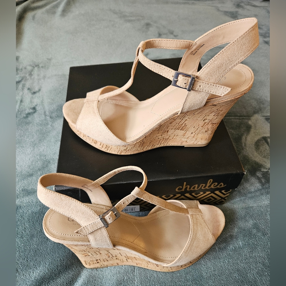 NEW Nude Microsuede Platform Wedge Sandal